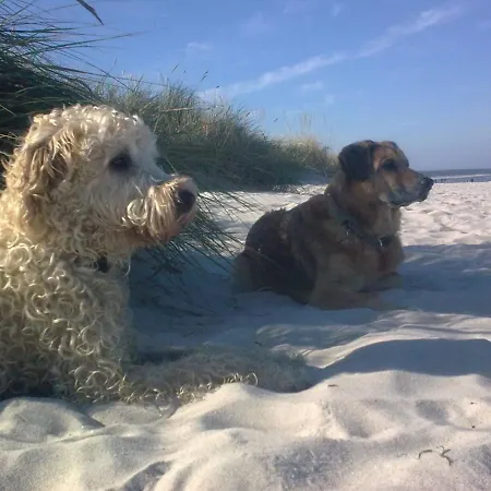 Lejlighed Am Stettiner Haff Mönkebude